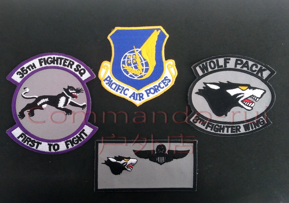 United States Air Force 35th Fighter Squadron 8 Fighter Wing Wolf F-16D Badger Chapter 