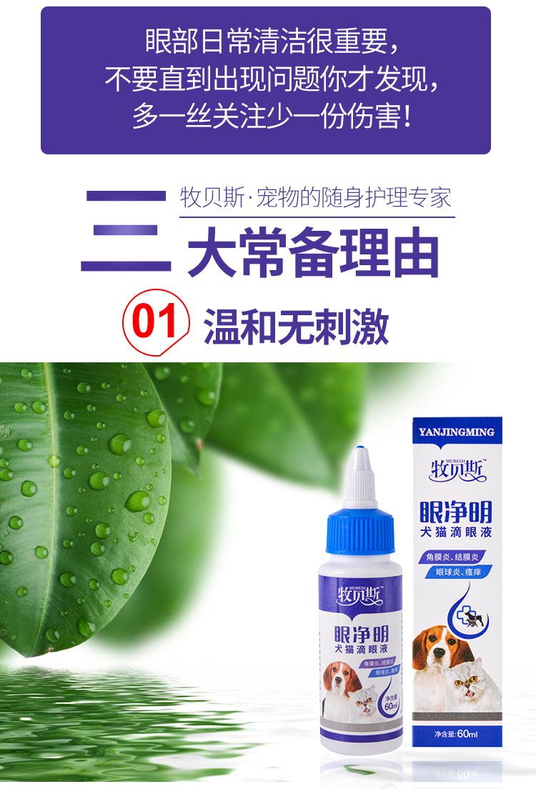 贝斯 眼 眼药 Teddy rơi nước mắt chó mèo mắt ker viêm mắt chó - Cat / Dog Medical Supplies 	các loại kim tiêm thú y	