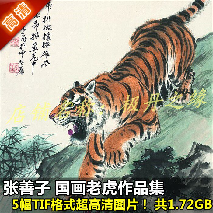 National Paintings Ultra High Qing Pictures Zhang Shanzi Works Paintings Collection 5 Complete Sets Of Animal Tiger Material To Imido Decoration Spray Painting