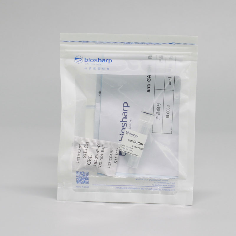 Biosharp BL006B Anti-GAPDH polyclonal antibody 内参抗体
