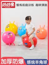 Childrens amniotic ball sensation Training equipment Home Big Number Thickening Jump Balls Baby Toys Kindergarten Yoga Balls