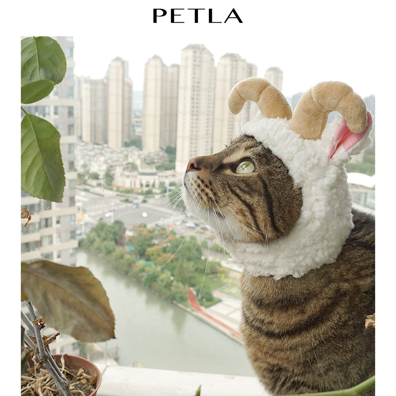 PETLA Pilla Halloween Lamb Pet Headgear Sheep Horn-shaped Cat's Hat Little Milk Dog Hat