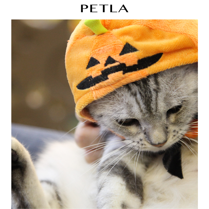 PETLA Pyla New Halloween Pumpkin Festival Pet Headgear Cat Dog Hat Cat Headgear Spot