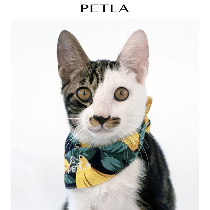 PETLA Para Pet Banana Printed Ice Silk Cotton Neck Cat Triangle Dog Bow Tie