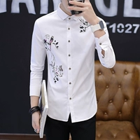 Сорока белая