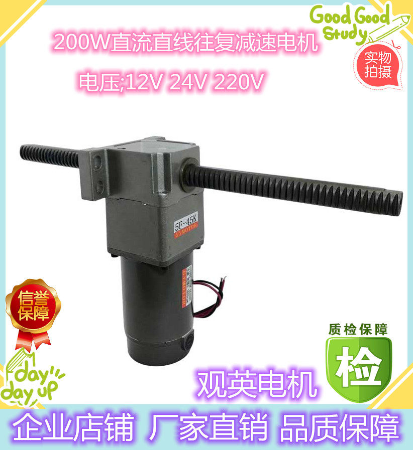 View Mile 200W DC Straight to-back motor with brush horizontal vertical lifting deceleration motor 12V242V20V