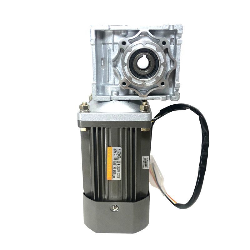 300W miniature vertical AC turbine worm reducer motor three-phase 380V constant speed single-phase 220V motor flange