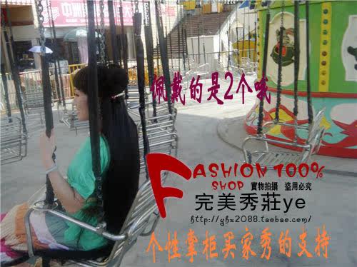 Extension cheveux - Chignon - Ref 236009 Image 24