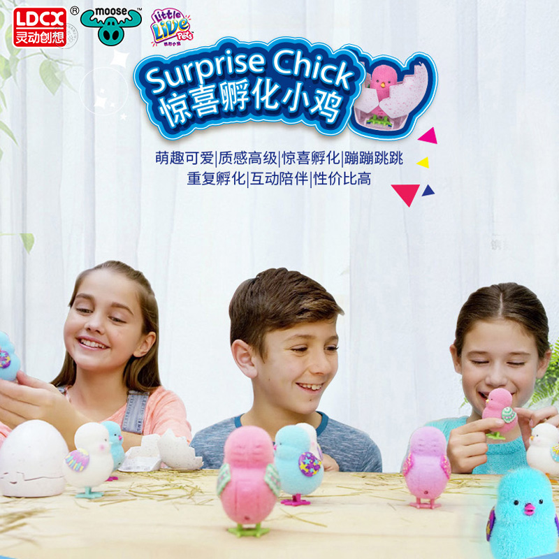 Heart-woundIn my little darling surprise hatching little chicken toy broken shell emulation plush move will be called a pet girl