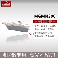 MGMN300-M GR10