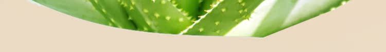 Authentic Baiyu set aloe vera hydrating mask dưỡng ẩm kiểm soát dầu nhẹ nhàng sửa chữa làm đẹp da mềm mại mua 1 hộp để gửi 1 miếng - Mặt nạ mặt nạ trị mụn cho da dầu