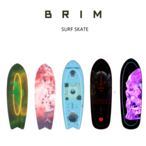 BRIM Land surfboard skateboard Taiwan professional double spring bridge Lu Chong mock ski surfing beginners against mountains
