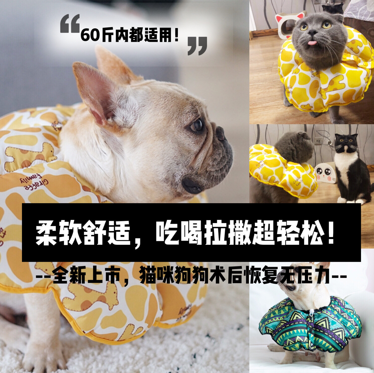 Kitty Puppy Elizabeth Circle Soft cloth Shame Ring Young Cat Anti-Licking Waterproof Neuter Headgear Bite Sunflower Neck