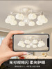 Living Room Ceiling Lamp 2026 New Creative Cotton Lamp Cream Style Modern Simple Crystal Light Luxury Main Hall Lamp