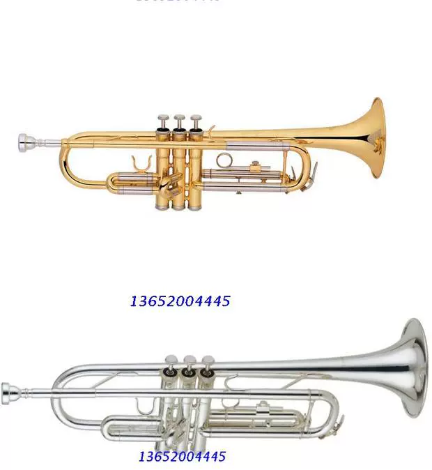 HRSD / Walston Nhạc cụ Màu xanh Trumpet Nhạc cụ B-phẳng nhỏ bằng đồng ống nhỏ có thể là tiền mặt khi giao hàng - Nhạc cụ phương Tây kèn saxophone soprano