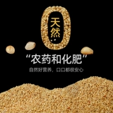 Новая желтая долина попугая птицы едой пищевая продукция тигр пиони без попугая птица Птица Смешанная пищевая зерно
