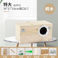 Tongmu Grand No. [Прямо открытие]