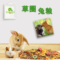 Зерно кролика 5 фунтов дельфинов мод. Ушная голландская свинья питание в пищу с сборными пищами.