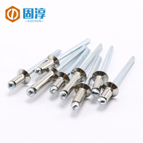 M2 4 M6 4 rivets pull rivets 304 stainless steel blind rivets round head pull nail nail nail pumping center decoration