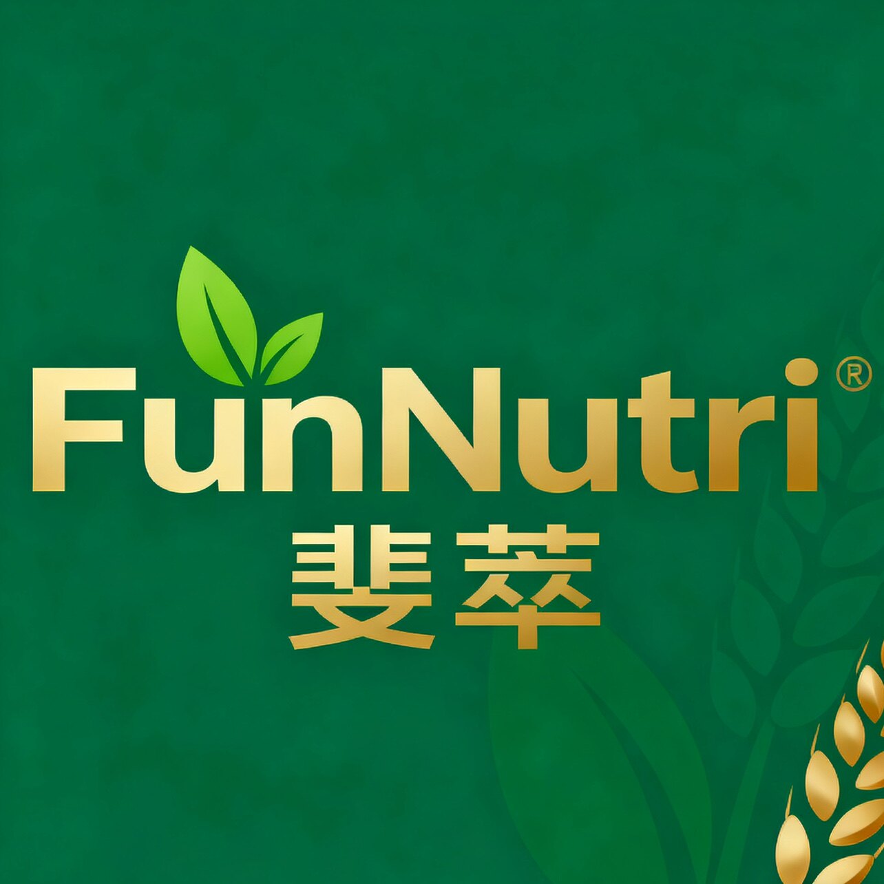 暖阳全球甄选