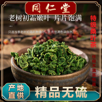 北京同仁堂特级霜后霜打桑叶茶正宗霜降老桑树叶冻桑叶泡茶250g