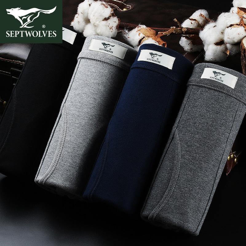 Seven Wolves Sanitary Pants Men's Thin cotton Men's inner lap pants Warm Teens Winter Single Cotton Wool Pants Bottom Sanitary Pants