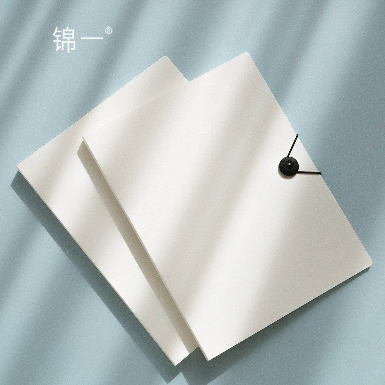 A4 Disk Button Type Information Booklet Papers Storage Bag Office Supplies Information Booklet Organizational Instruments Multilayer Students Use Pregnancy Examination Report Form Archives Production Examination Music Book Clamps to Fix the Certificates