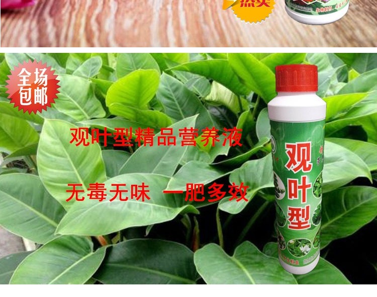 Hoa phân bón dung dịch dinh dưỡng Phổ hoa cây xanh phân bón nguồn cung cấp vườn hoa phân bón nhà máy khuyến mãi bán hàng trực tiếp vòi tưới cây phun sương