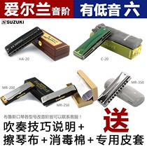 Japan SUZUKI Suzuki paddy Irish soundstage ten 10 Kong Blues Blues harmonica with bass 6