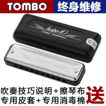 Japan tombo Tombo 6610 blues hope10 Kong Blues harmonica New hands Getting started Adult beginner children