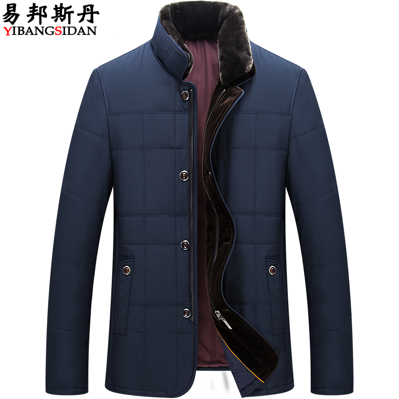 Blouson hiver pour homme      en Polyester - Ref 3115424 Image 1