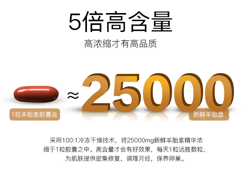 Овца плацента_04.jpg