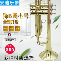 Trumpet musical instrument B-down three-tone trumpet band Professional beginner exam Playing orchestra Church Western musical instrument