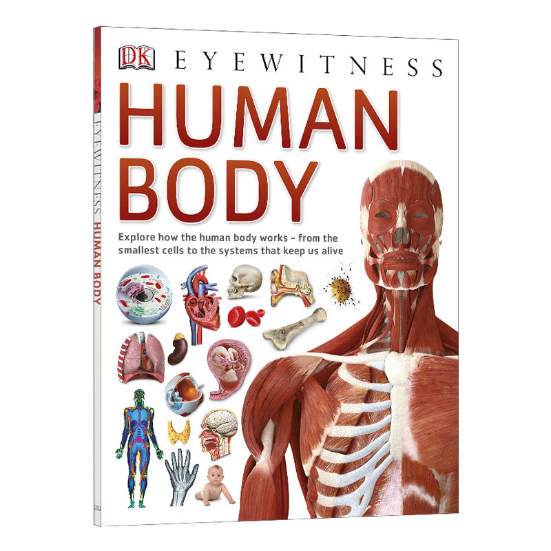 华研原版《Human Body DK Eyewitness》,揭秘人体奥秘的英文科普读物!-科普读物/自然科学/技术类原版书-淘宝好物网