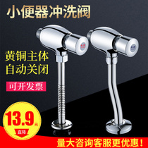 All-copper bathroom delay flushing valve urinal pool flushing valve Toilet urinal urinal hand press switch