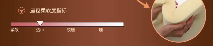 F06沙發_15.jpg