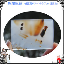 Dog tail flower Marine chalcedony natural agate original stone hanging carved pendant square sweater necklace