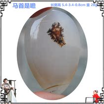 Horsehead is looking for marine chalcedony natural agate original stone hanging carved pendant square sweater necklace