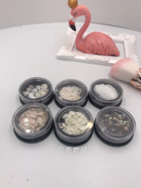 Shell Piece Set 6 boxes of specialty shell slice Niu Niu Fan recommended manicure shell