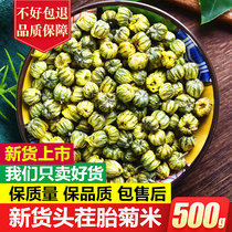 Fetal Chrysanthemum rice 500g Authentic natural wild chrysanthemum tea Flower tea Fetal chrysanthemum Wang Tongxiang Chrysanthemum bulk new tea Chrysanthemum