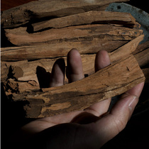 Laoshan sandalwood old tree root material Zhengqu old material mellow and milky fragrance 100g