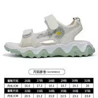 34 метра/авокадо