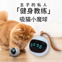 Magic ball cat toys two Fu raccoons sucking cat Small Magic Ball self-Hi cat toys