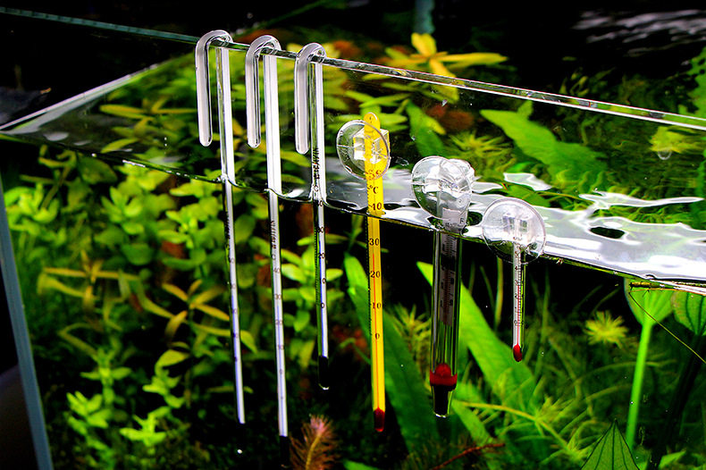 Fish tank thermometer side water temperature high-precision ornamental fish aquarium household waterproof chubby walking stick type aquatic plant tank - Taobao