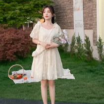 Pregnant womens dress summer long A V collar pregnant woman skirt small man Net Red foreign big size sweet skirt