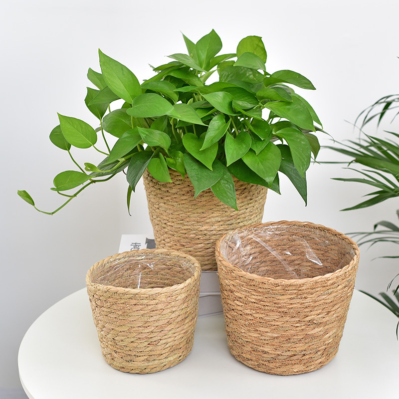 Nordic Style Straw and Rattan Flower Basket Indoor Desktop Decoration Green Plant Succulent Potted Plant Hug Bucket Creative Green Radish Flower Pot Nordic Style Straw and Rattan Flower Basket Indoor Desktop Decoration Green Plant Succulent Potted Plant Hug Bucket Creative Green Radish Flower Pot