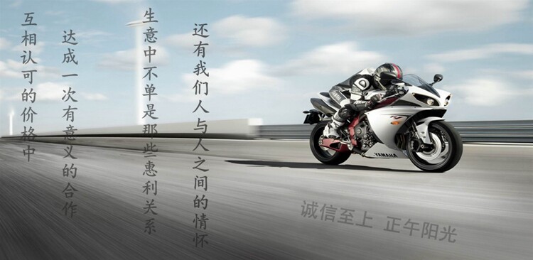 Tournevis pour réparation vélo SATA - Ref 2298058 Image 8