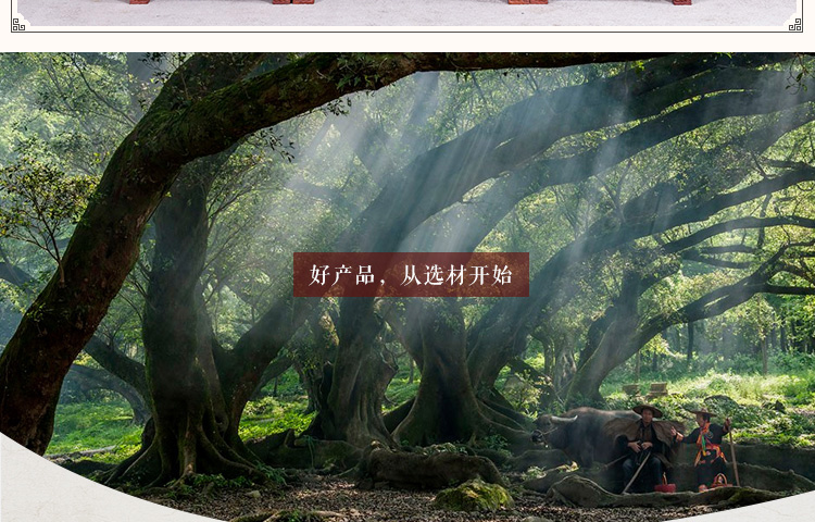 Nội thất gỗ gụ phòng khách gỗ hồng mộc Miến Điện Linh Chi Zhongtang sáu mảnh gỗ rắn Trung Quốc cho bàn tám bàn cổ tích - Bàn / Bàn bàn ghế gỗ phòng khách nhỏ