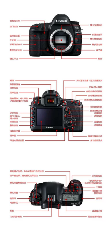 Máy ảnh kỹ thuật số Canon Full HD Full HD / Canon EOS 5D Mark IV 5d4 - SLR kỹ thuật số chuyên nghiệp
