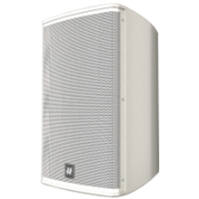 Full-frequency sound box YH100